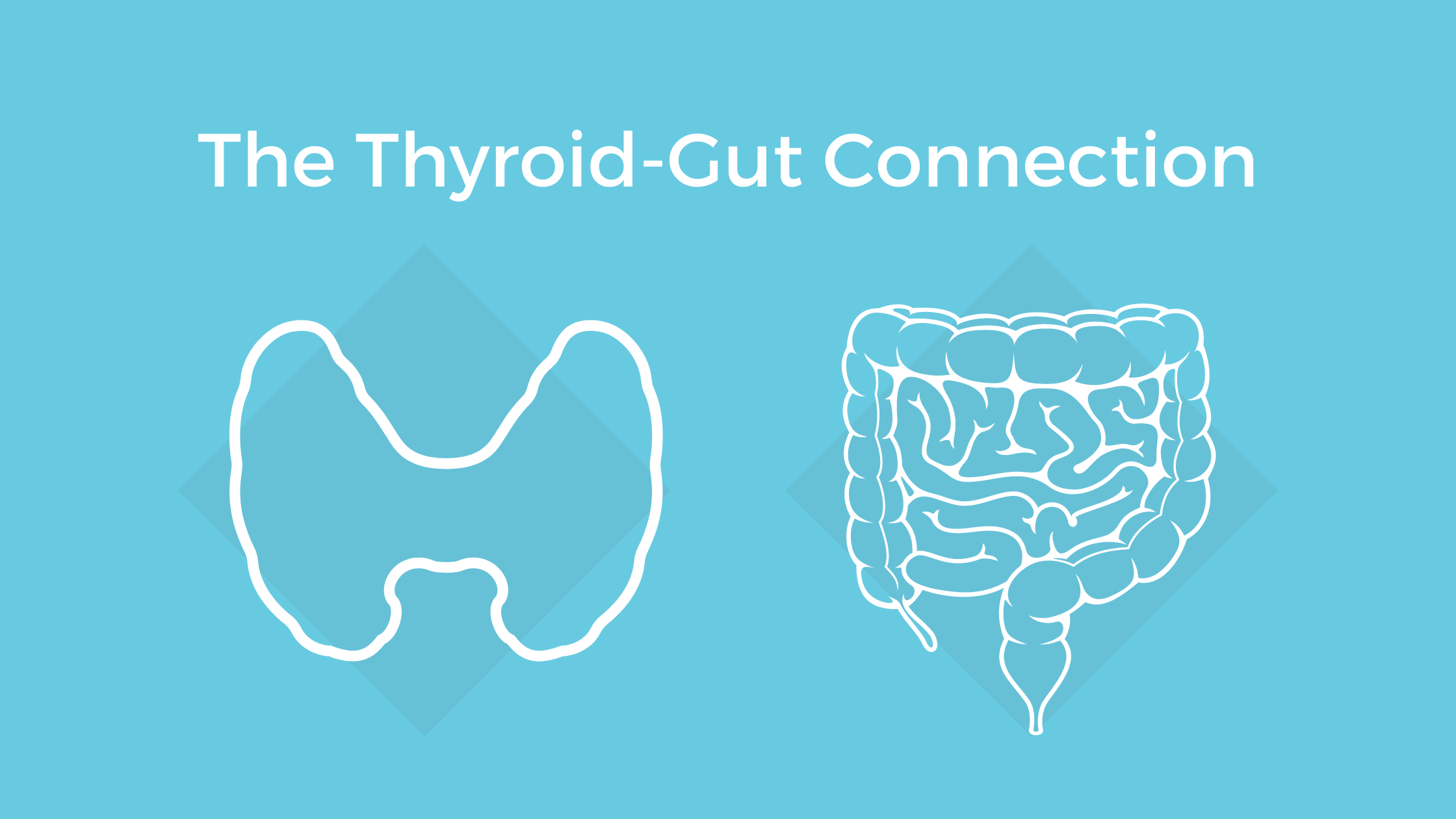 Gut health and thyroid connection